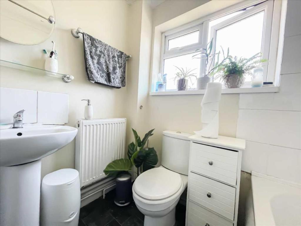 Nice, Bright & Friendly Home 赫默尔亨普斯特德 外观 照片